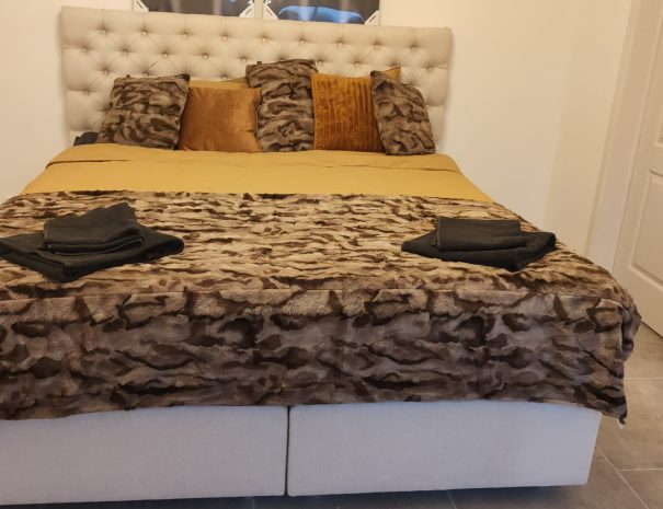 Villa Kleinwellness (31)